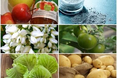 Folk remedies for treating varicose veins