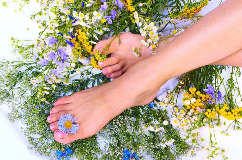 Varicocele herbs