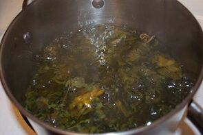 Decoction to treat varicose veins